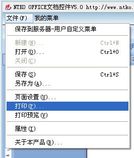 NTKO文档打印控制
